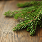 Cedarwood Essential Oil