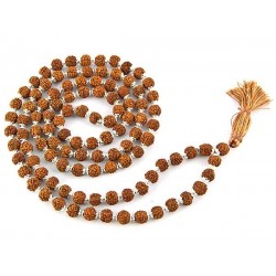 Rudraksha and Silver Prayer Mala