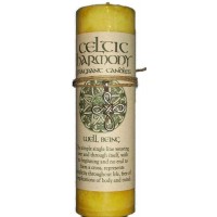 Celtic Harmony Well Being Candle with Pendant