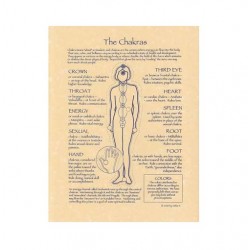Chakras Reference Parchment Poster
